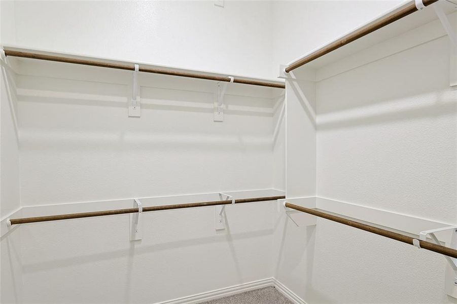 Walk in closet featuring carpet flooring