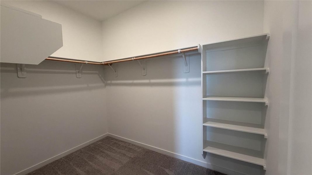 Master Bedroom - bathroom and closet