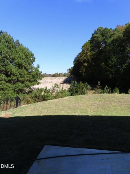 HO177 back HO177 back