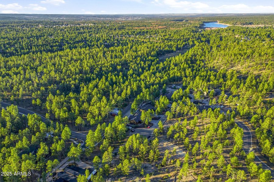 30NBenchCir-ShowLow-AZ-37