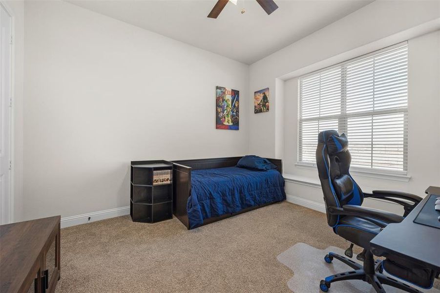 Carpeted bedroom with ceiling fan and multiple windows Carpeted bedroom with ceiling fan and multiple windows