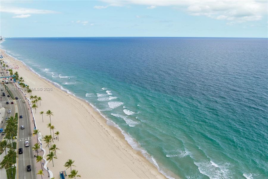 Natural landscape and outdoor views near Selene Oceanfront Residences in Fort Lauderdale (Image 47).
