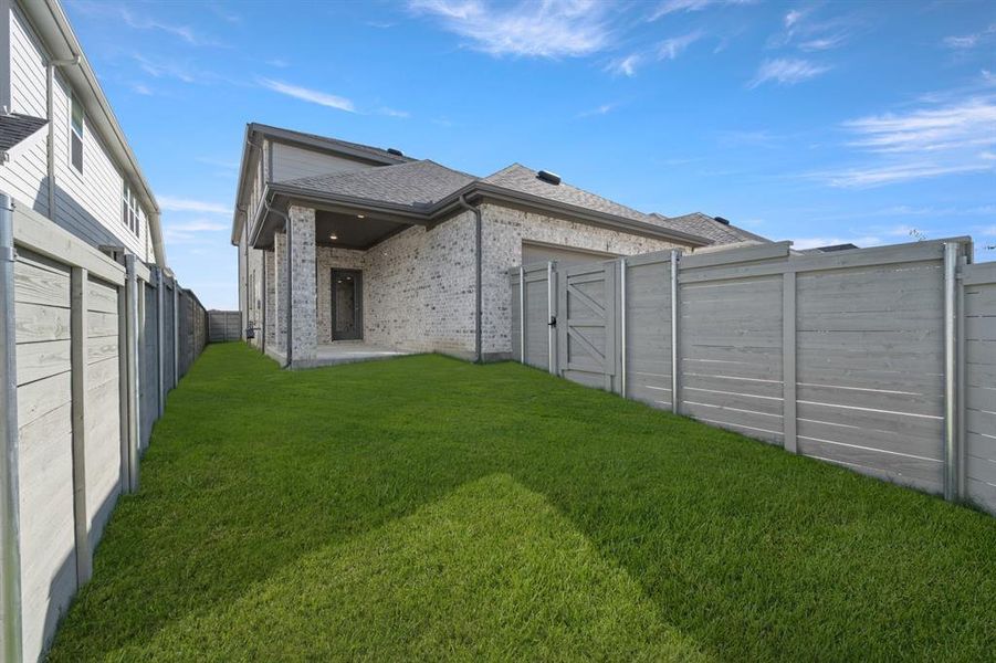 2_8921 Acorn- Back-1