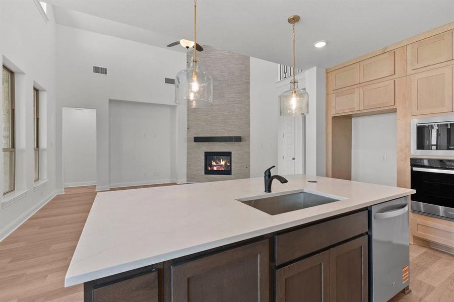 DAL_Painted Tree_Mineola_3916 Attwater Street (11)