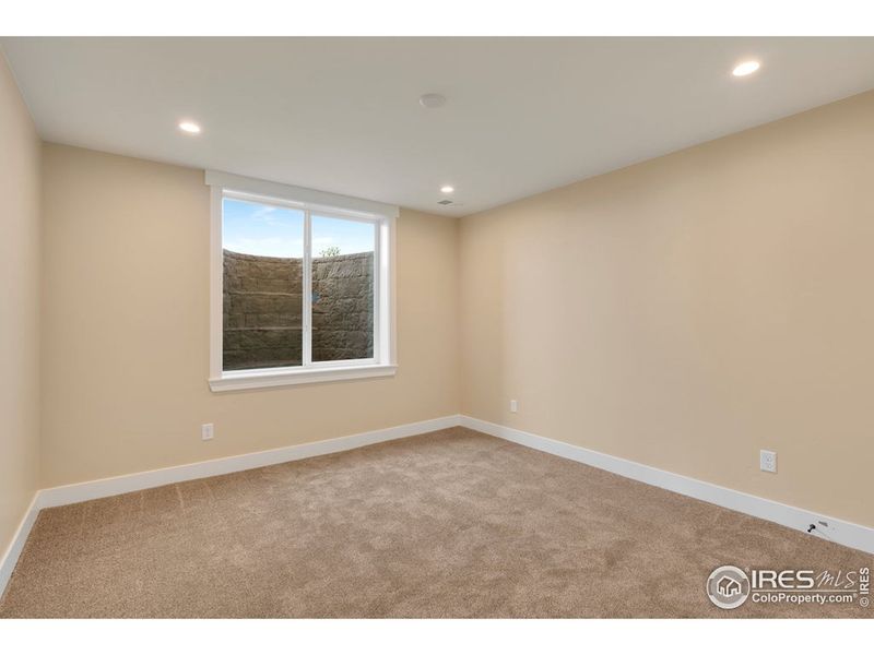 Lower level bedroom