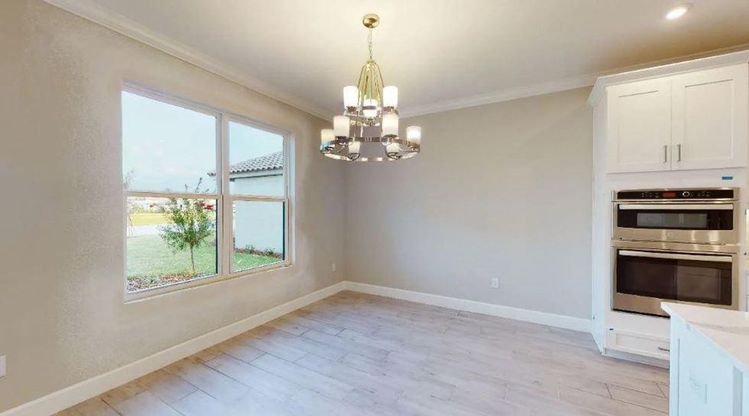 REPRESENTATIVE PHOTOS