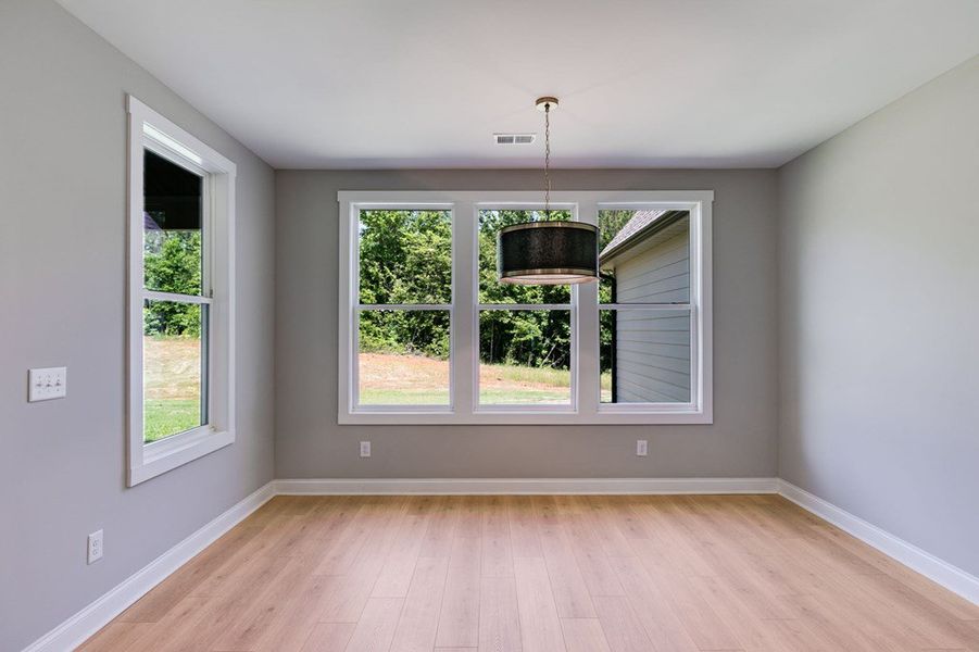 Spacious, unfurnished interior of a new home in Harmon Springs, Carrollton (Image 34).