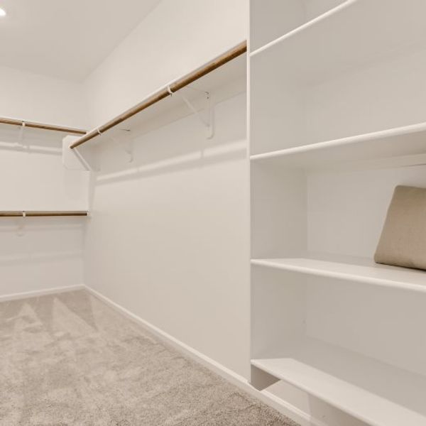 Odyssey Owner's Suite