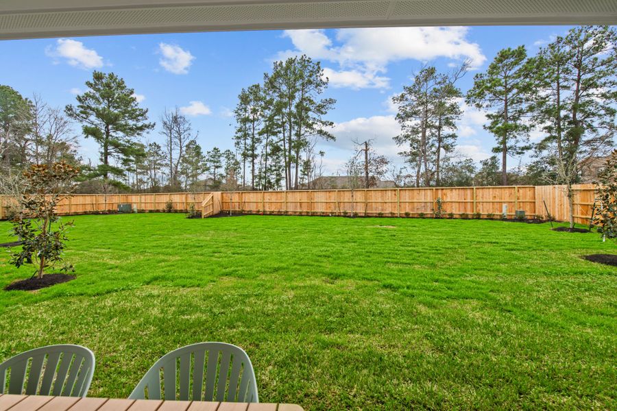 Backyard