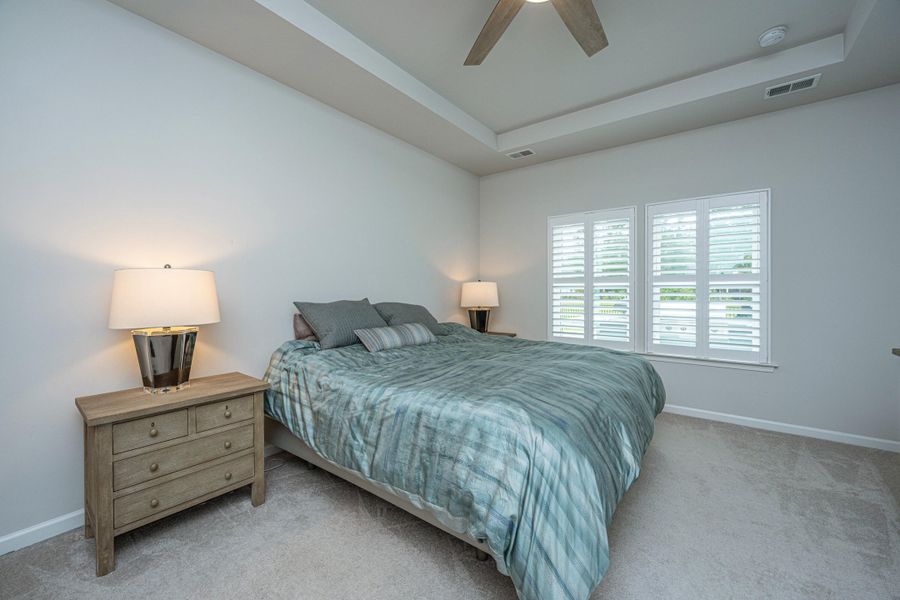 Furnished interior view inside a new home in Saint John's Lake: Coastal Collection, Johns Island (Image 44).