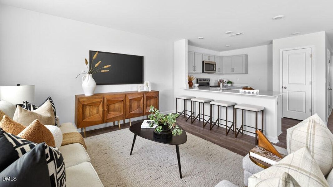 Living Room Living Room