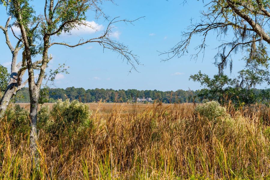 Natural landscape and outdoor views near  in Ravenel (Image 50).