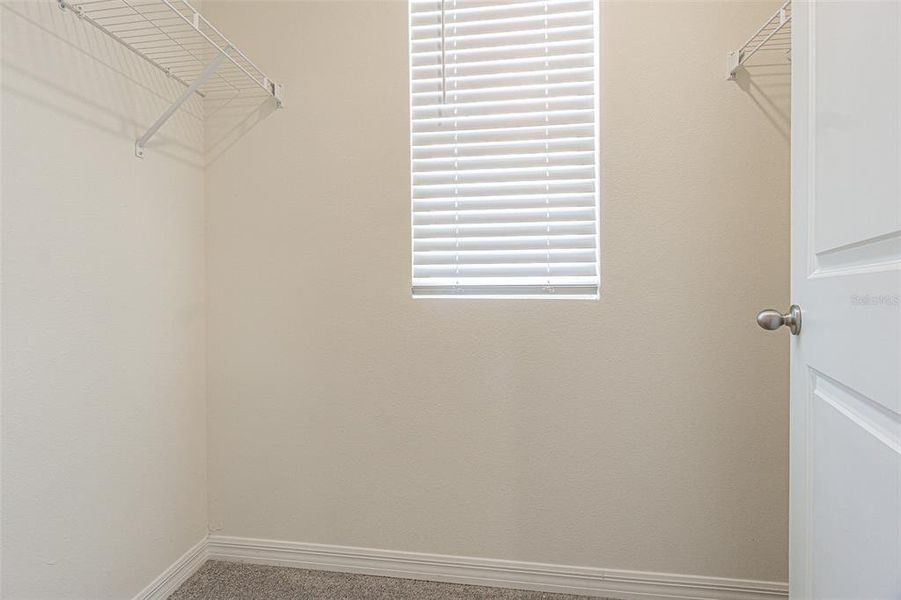 Spacious, unfurnished interior of a new home in , Temple Terrace (Image 43). Spacious, unfurnished interior of a new home in , Temple Terrace (Image 43).