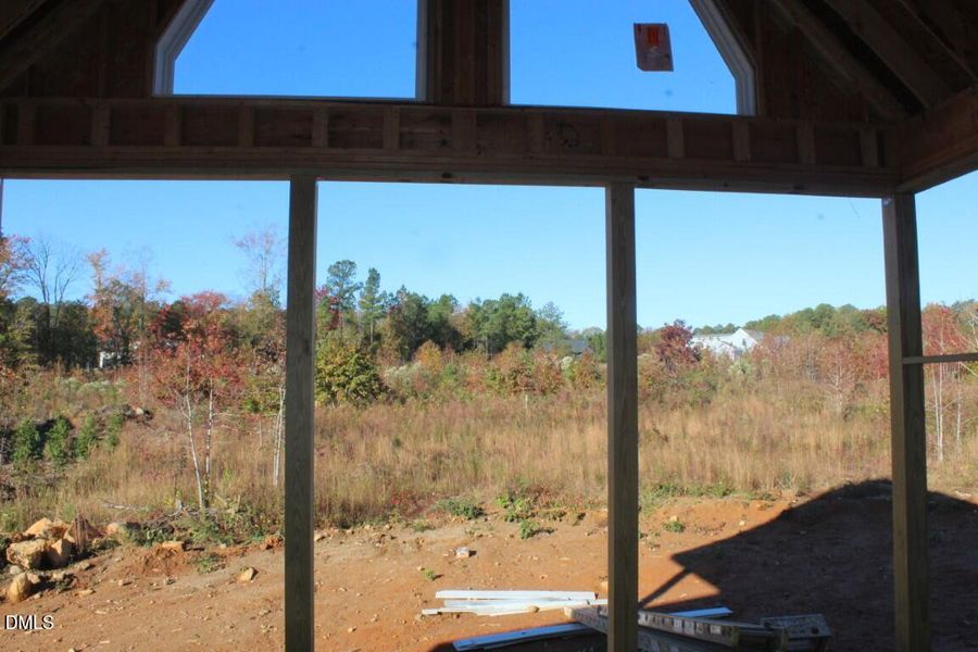 IMG_6965 (Medium) IMG_6965 (Medium)