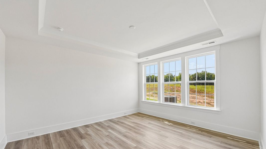The Connect by DRB Elevate in Brook Run, Fort Mill SC - Primary Suite with Tray Ceilings
