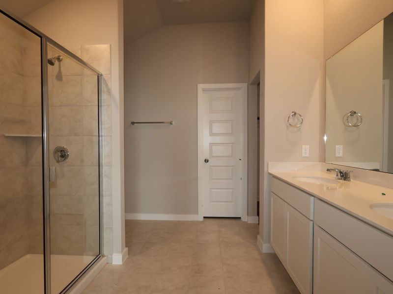 Owner's Bathroom