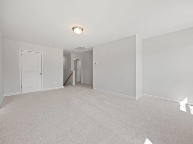Representative unfurnished interior of a home built from the The Ashport H by Davidson Homes LLC in Heartland, Heartland (Image 25).