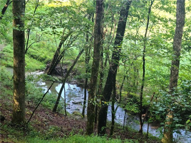 Natural landscape and outdoor views near  in Ellijay (Image 44).