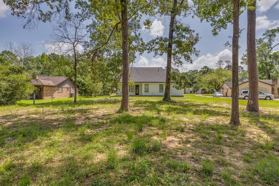 Natural landscape and outdoor views near  in New Caney (Image 42).