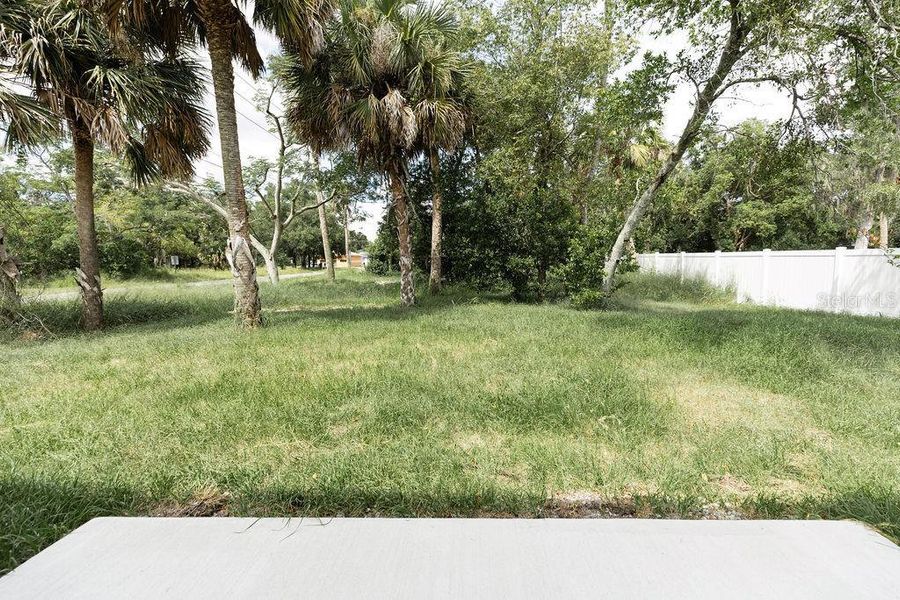 Natural landscape and outdoor views near  in Apopka (Image 23).