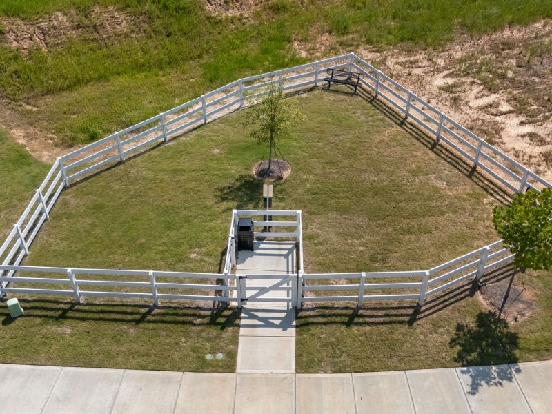Community Dog Park at Avalon.