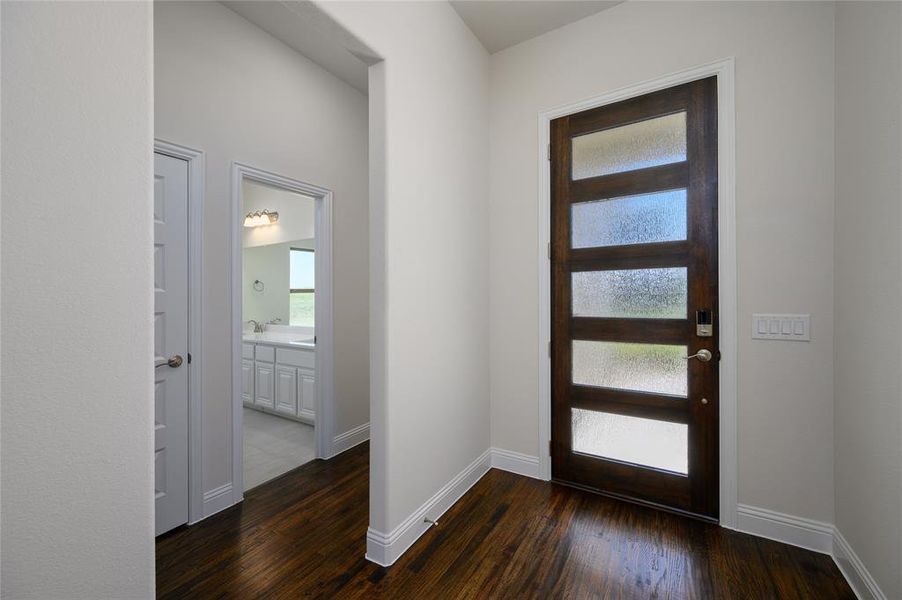 Foyer entrance featuring dark wood-type flooring and plenty of natural light