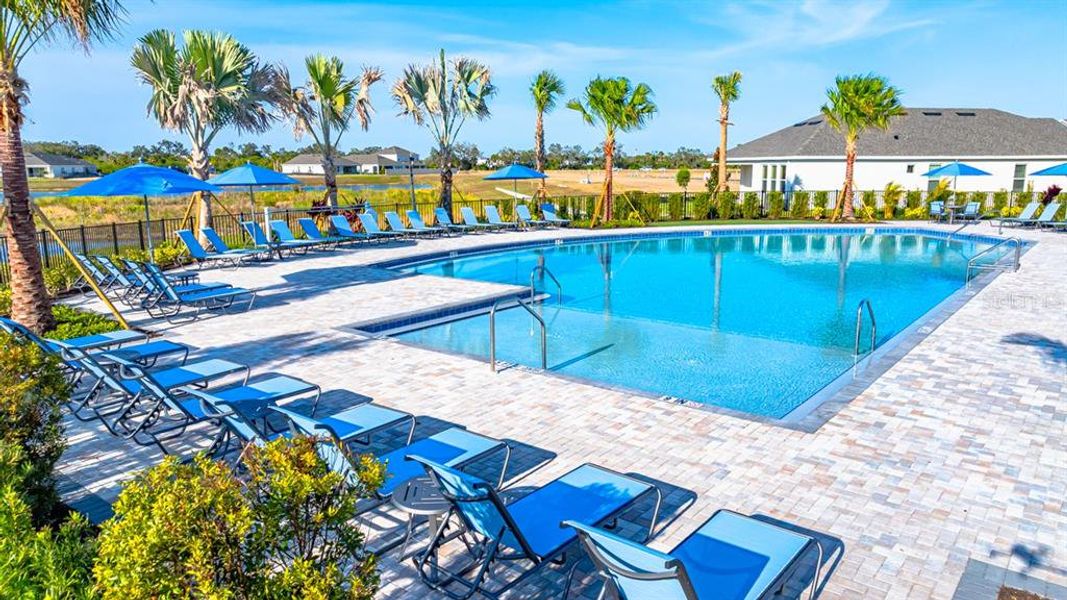 Community amenities in Indigo Creek, Apollo Beach (Image 76).