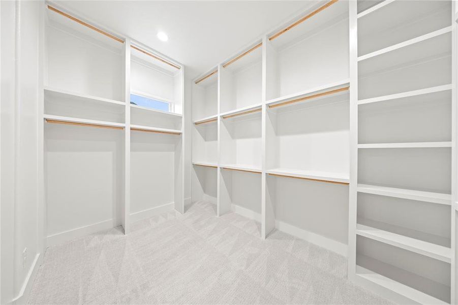 Walk in closet featuring carpet flooring