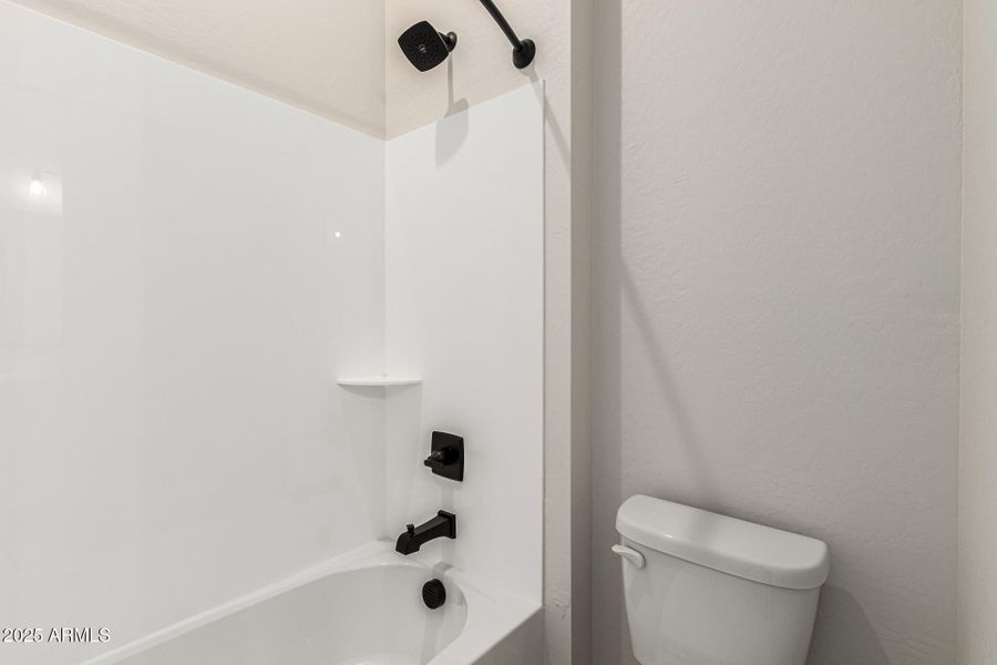 28-Hollyhock 28-Hollyhock