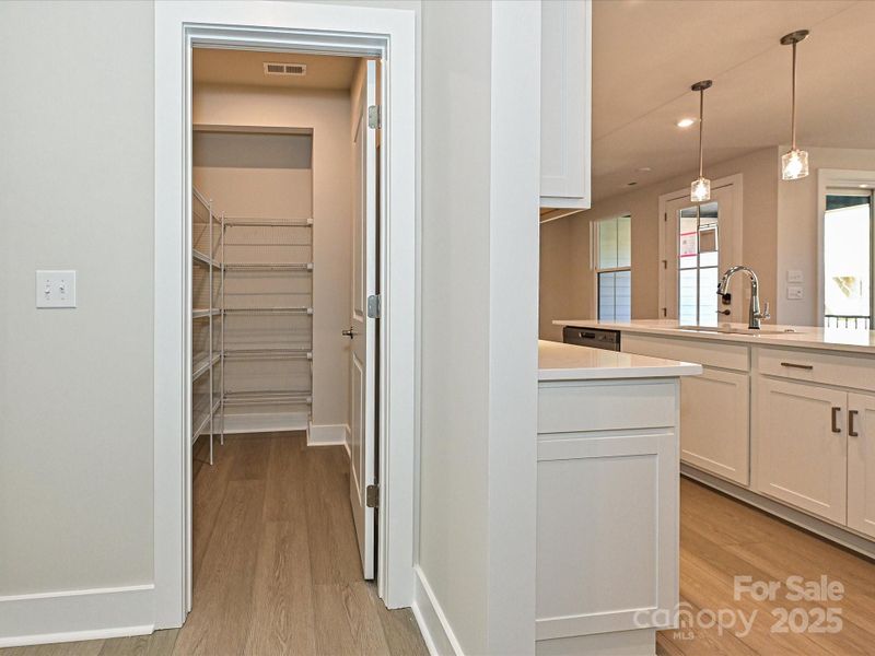 Huge walk-in pantry to satisfy any storage needs.