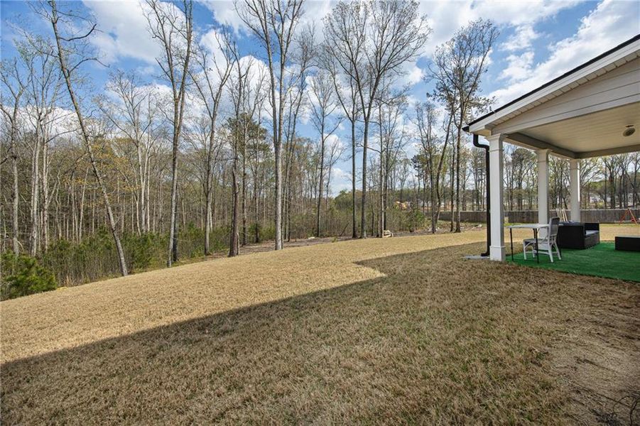 Exterior details and patio area of a home in Independence, Loganville (Image 23).