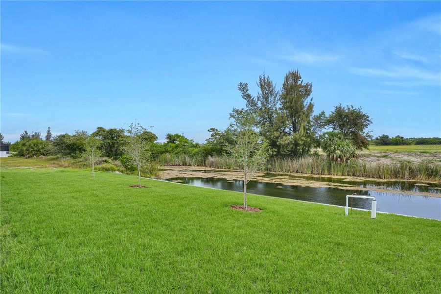 Natural landscape and outdoor views near  in Cape Coral (Image 45).