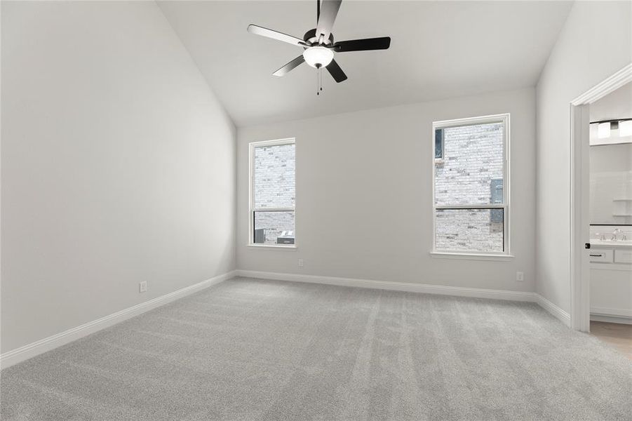 14. 9721 Dahlia - Primary