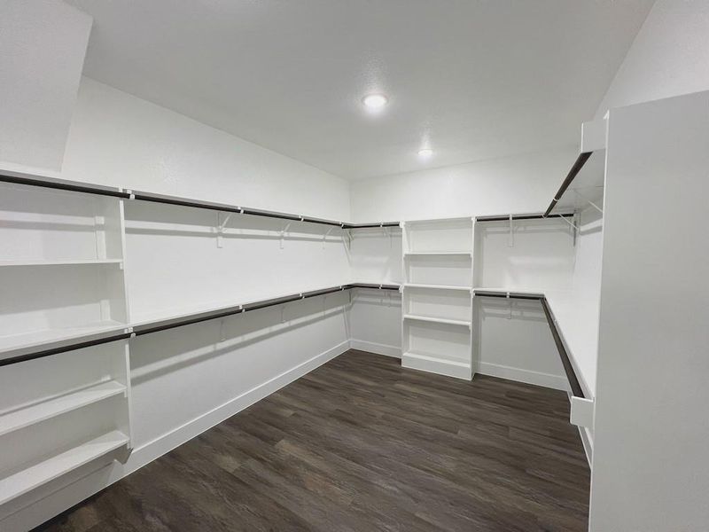 Spacious closet with dark hardwood / wood-style floors