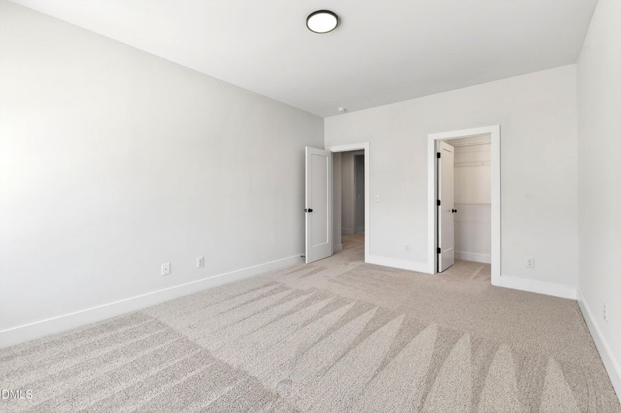 978 Helix (38) 978 Helix (38)