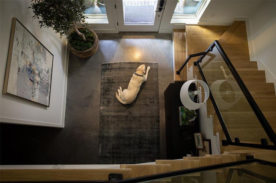 View from the Stairs