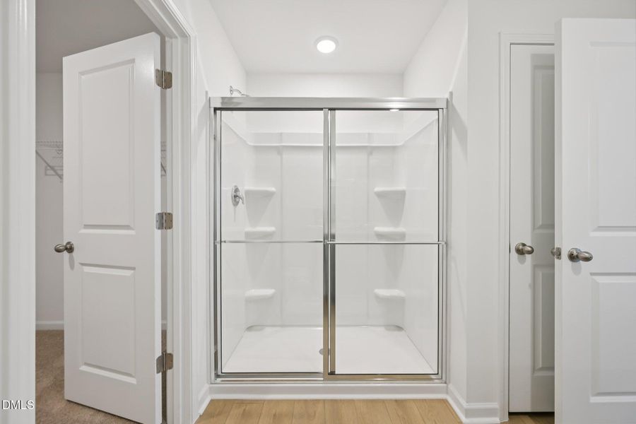 32-web-or-mls-Salers Loop-S1902-032