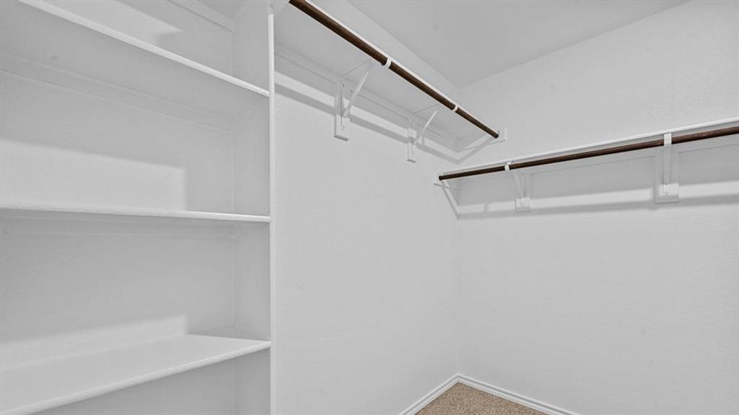 Walk-in closet featuring built-in shelving, two hanging rods, white walls, and carpet flooring