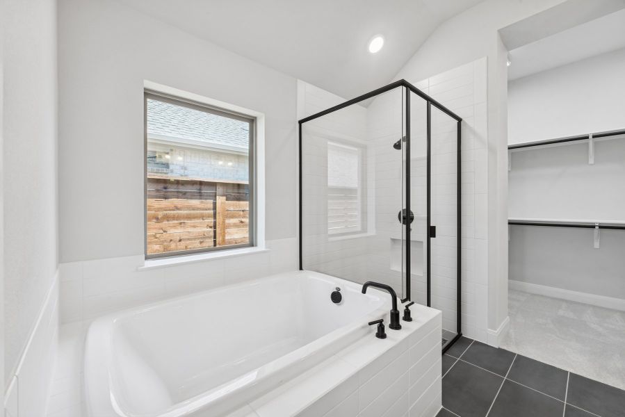 Owner's Bath