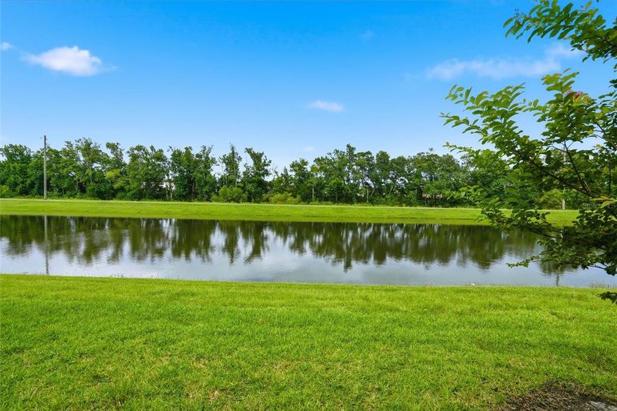 Natural landscape and outdoor views near Hardwick Farms in Jacksonville (Image 20). Natural landscape and outdoor views near Hardwick Farms in Jacksonville (Image 20).