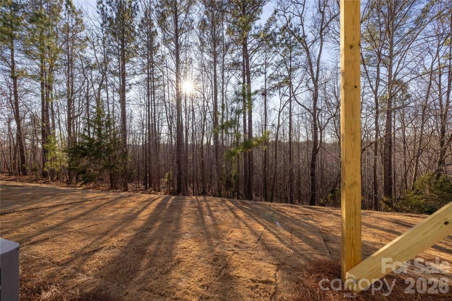 Natural landscape and outdoor views near Grandview in Albemarle (Image 45).