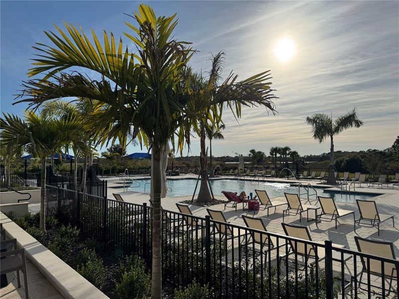 Community amenities in Vistera of Venice, Nokomis (Image 28).