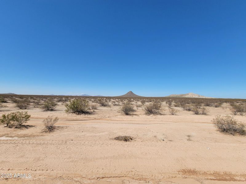 1000053397 1000053397