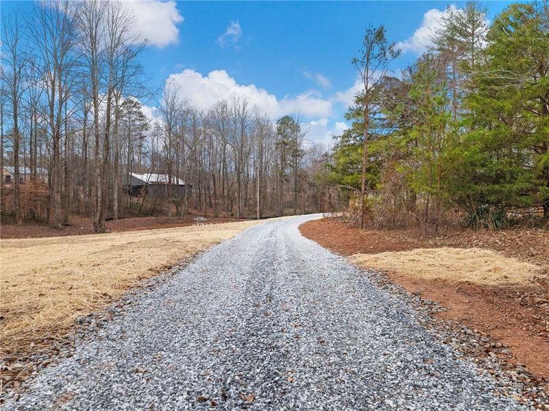 Natural landscape and outdoor views near in Gainesville (Image 37). Natural landscape and outdoor views near in Gainesville (Image 37).