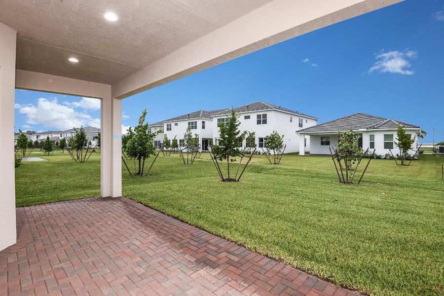 Lot-397-Marlberry-13861-Prickly-Cone-Cov Lot-397-Marlberry-13861-Prickly-Cone-Cov