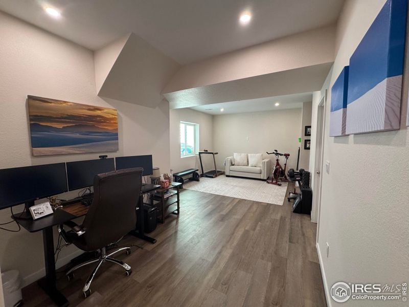 Basement Rec Area