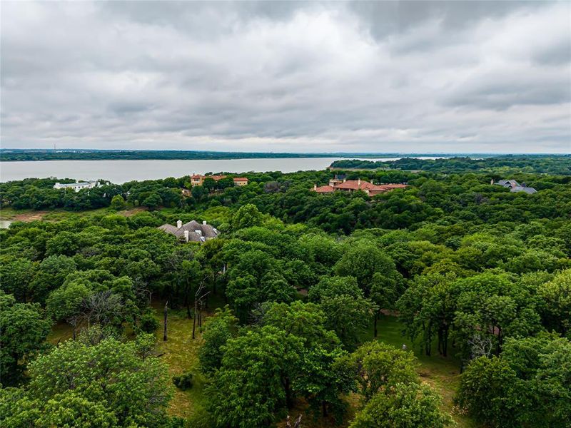 Expansive wooded landscape with mature trees and a distant body of water Expansive wooded landscape with mature trees and a distant body of water