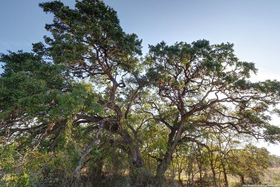 Natural landscape and outdoor views near Veramendi in New Braunfels (Image 5).