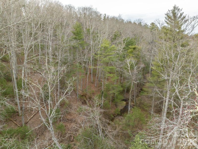 Natural landscape and outdoor views near  in Asheville (Image 37).