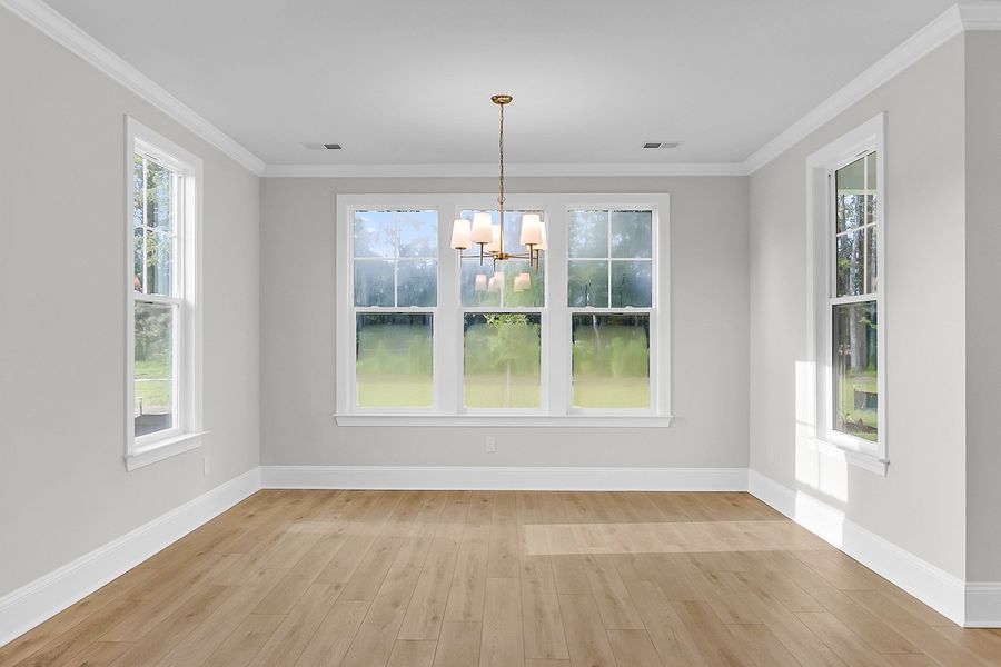 Spacious, unfurnished interior of a new home in Pineland Preserve, Summerville (Image 25).